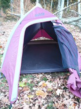 open tent